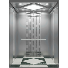 1000kg Nice Decoration Passenger Residential Elevator Lift